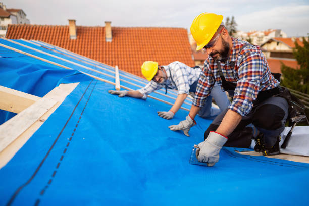 Best Commercial Roofing Services  in Waterville, OH