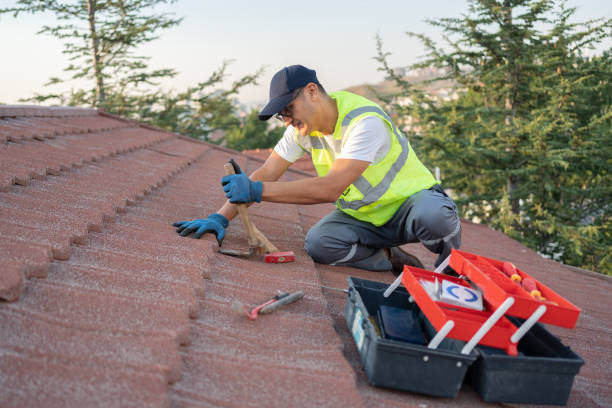 Best Roof Gutter Cleaning  in Waterville, OH